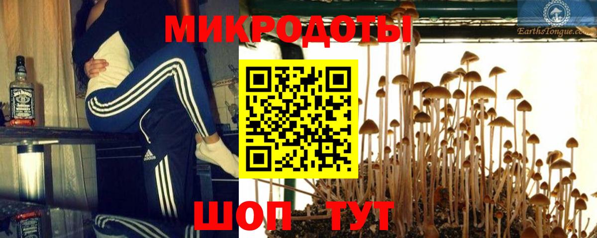 Псилоцибиновые грибы Psilocybe  Галлюциногенные грибы Cubensis  Вход с VPN  Острогожск 